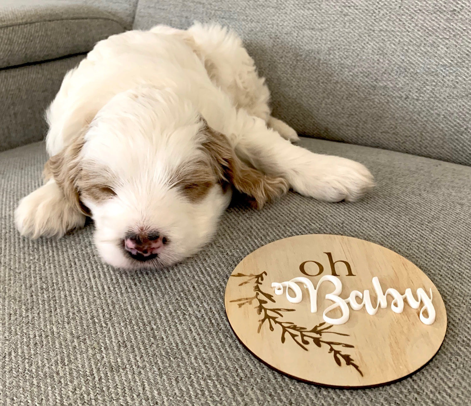 Wooden Baby Announcement Disc Oh Baby